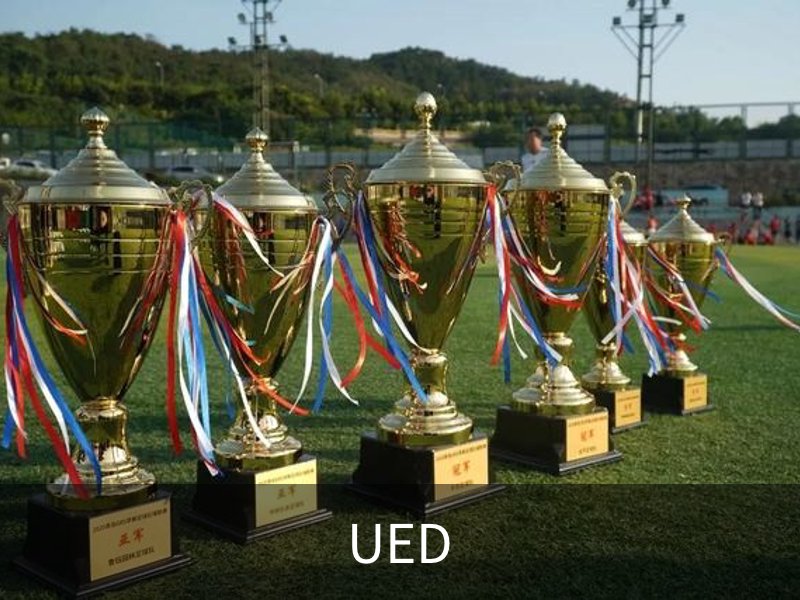 UED概况